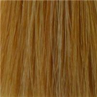 9.73  Имбирь/Ingwer 