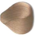 10-2 светлый блондин пепельный