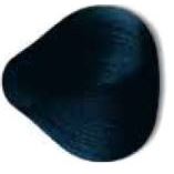 1-1  иссиня черный