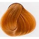 10/40 очень светлый блондин медный