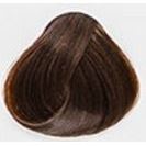 6/06 темный блондин теплый