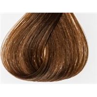 7/61 средний блондин коричнево-пепельный