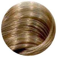 10/73 светлый блондин коричнево-золотистый