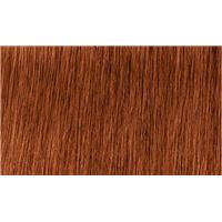 6.4 Red & Fashion Темный русый медный